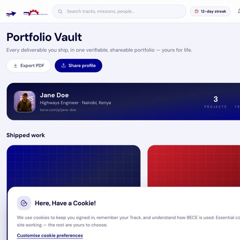 Portfolio Vault — inside BECE ZidiHub
